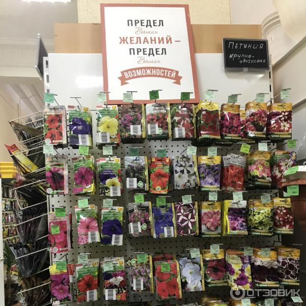 Магазин Прекрасный Сад В Красноярске