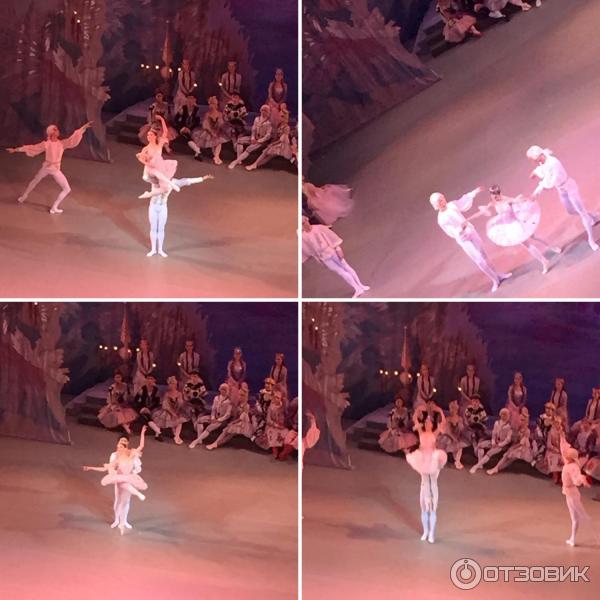 щелкунчик мариинский отзывы. щелкунчик вайнонена мариинский театр. мариинский театр санкт-петербург балет щелкунчик. мариинский театр владивосток щелкунчик. балет щелкунчик мариинский театр.