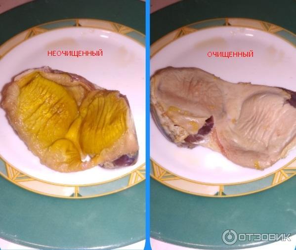 Желудки в автоклаве. Мускульный желудок у утки. Мышечный желудок курицы. Мускульный желудок у курицы.