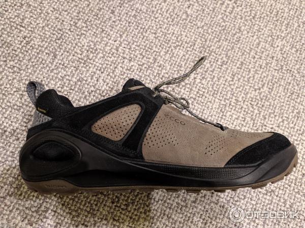 ecco biom 2 go