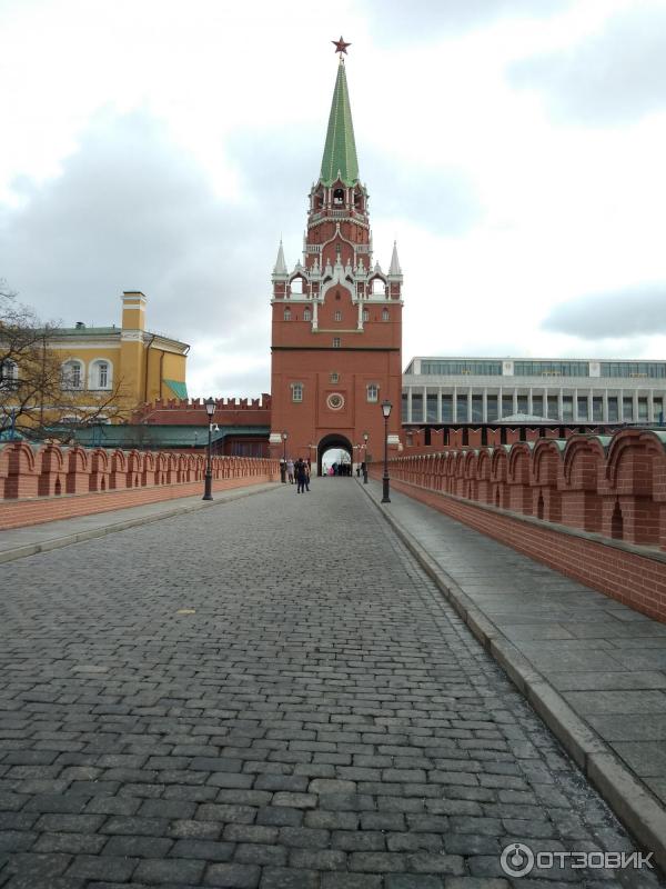 Новогодняя елка в Кремле (Россия, Москва) фото