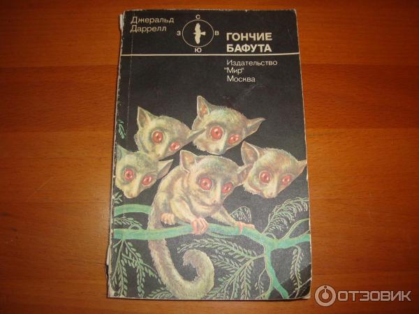 Гончие бафута картинки