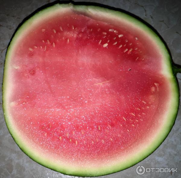 арбуз красный бессемянный. сорт арбуза черный принц. арбуз принц. арбуз черный принс. арбуз принц.