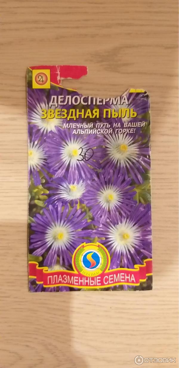 Магазин Семян Звездная