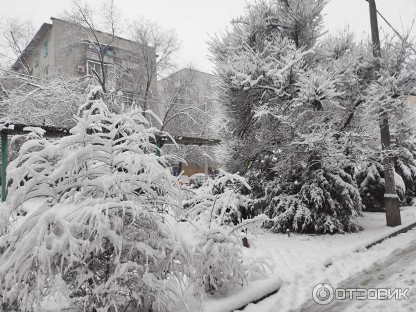 Смартфон Xiaomi Mi 9 Lite фото