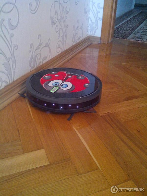 Наш Бо Ко на работе.