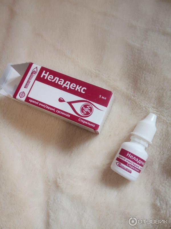 неладекс ушные. неладекс глазные ушные капли. неладекс глазные капли цена где купить в москве. неладекс ушные капли. неладекс ушные капли.