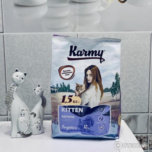 Корм для кота 1 год