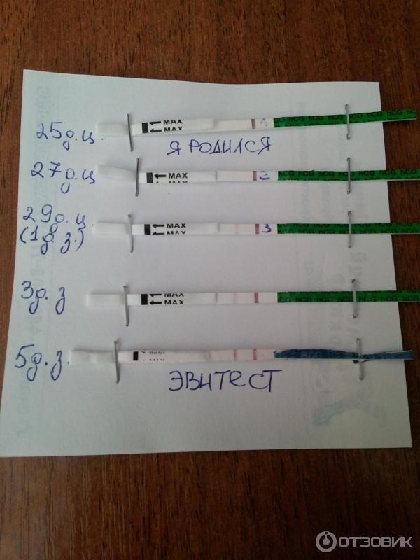 1 день задержки тест на беременность