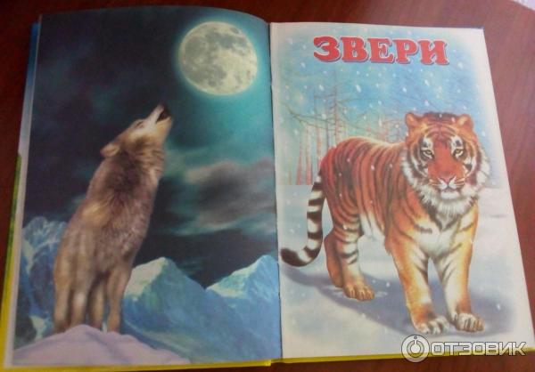 Отзыв о Детская книга "Учебник для малышей.Животный мир России" - В ...