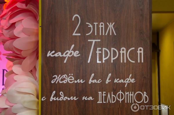 океанариум ярославль