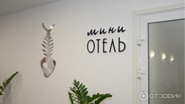 океанариум ярославль