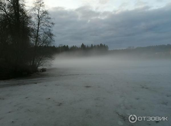 Смартфон Honor 10i фото