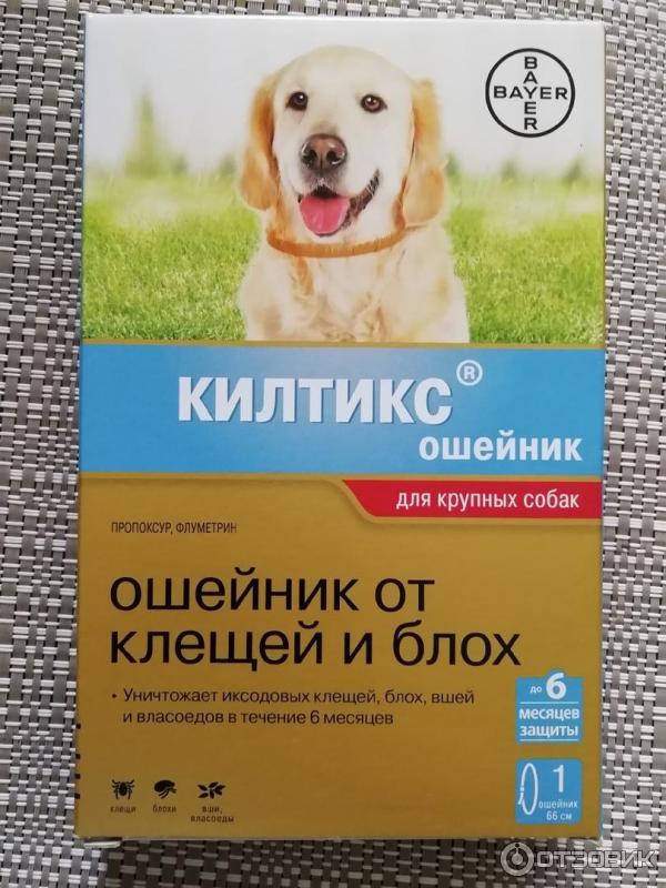 Fotografie obojku proti blechám a klíšťatům Bayer Kiltix