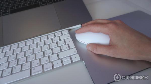 Беспроводная мышь Xiaomi Mi Wireless Mouse 2 (XMWS0O2TM) фото