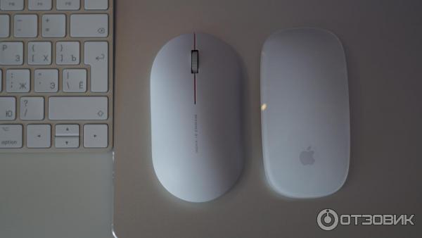 Беспроводная мышь Xiaomi Mi Wireless Mouse 2 (XMWS0O2TM) фото