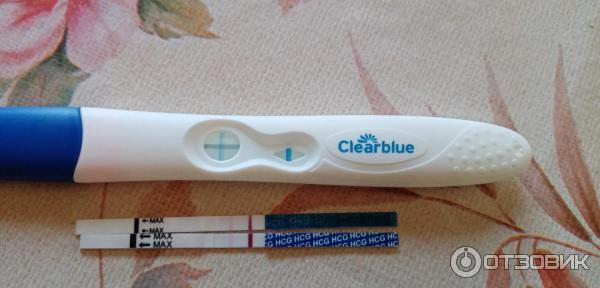 Clearblue Тест На Беременность Отрицательный Фото Результат
