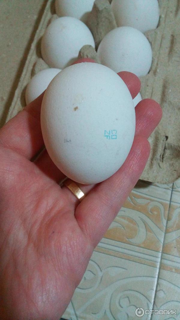 Категории яиц куриных. Яйца с0 с1 с2. Классификация яиц по категориям куриных. Категории яиц. Яйцо 1 категории.