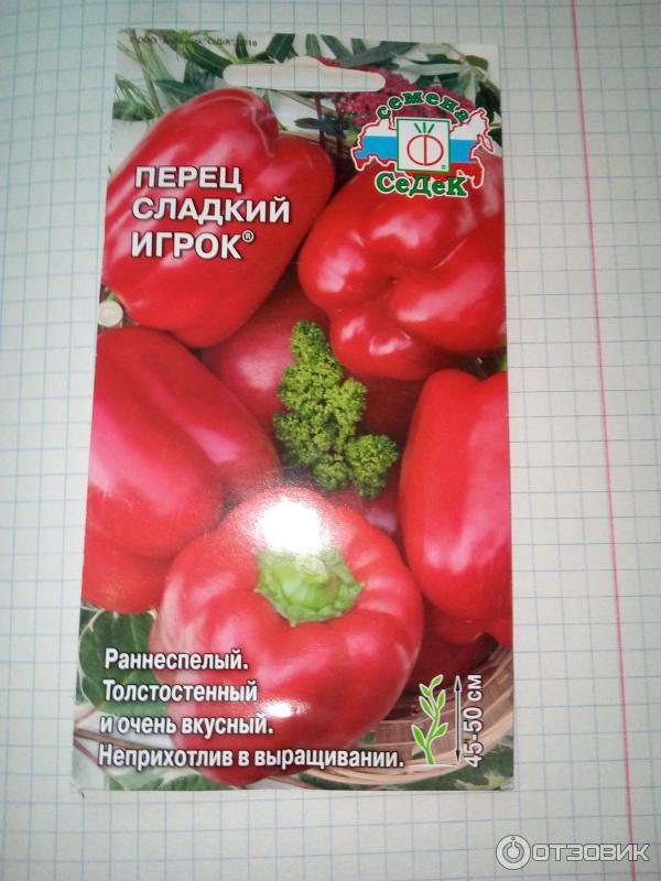 перец игрок отзывы. перец сладкий игрок седек. перец игрок описание сорта. перец сладкий игрок.