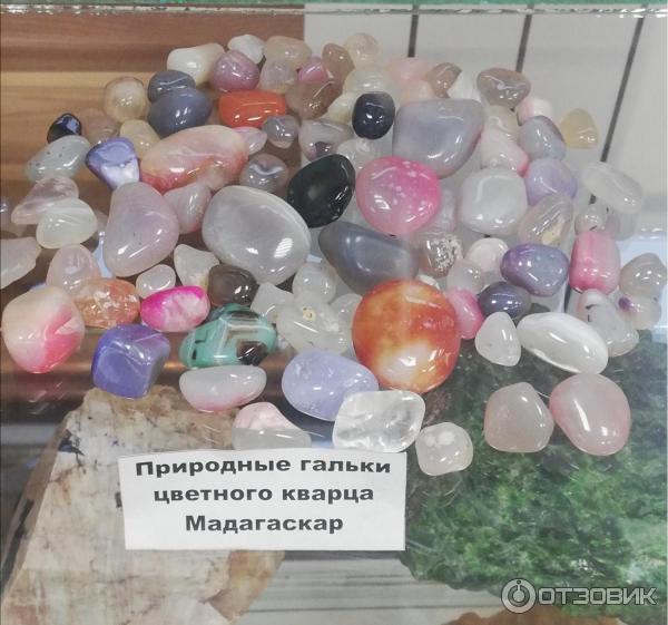 Байкальский музей самоцветов (Россия, Листвянка) фото