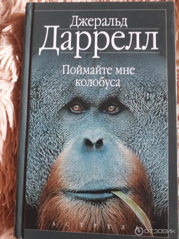 Даррелл Джеральд Одежда Магазины В Москве