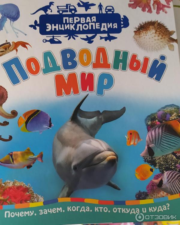 Лучшая энциклопедия в картинках для малышей подводный мир