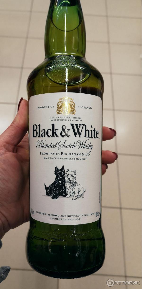 Блэк энд вайт отзывы. 7. Виски блэк энд уайт 0. Виски блэк энд вайт 0. Black&white blended scotch.