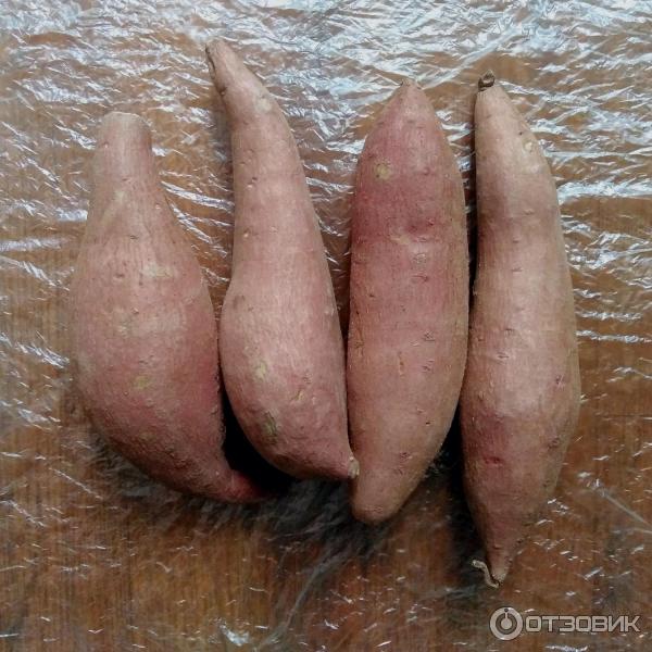 Отзыв о Овощ батат Тандер | Его называют картофелем, но так ли это.