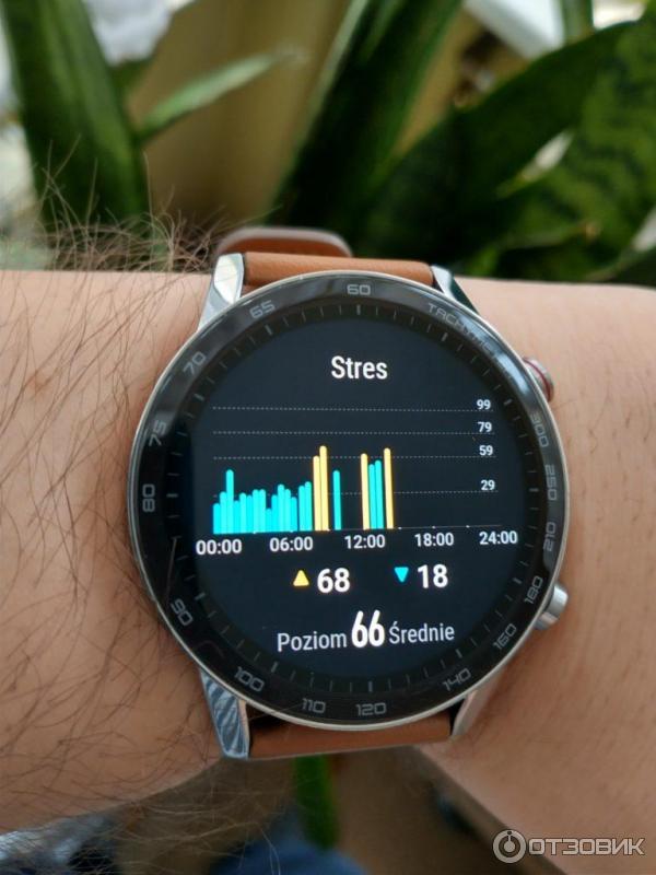Смарт-часы Huawei Honor Magic Watch 2 фото