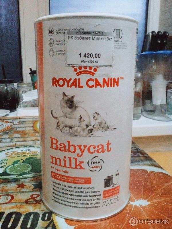 Отзыв о Заменитель кошачьего молока Royal Canin Babycat Milk | Эта смесь  спасла моих котят