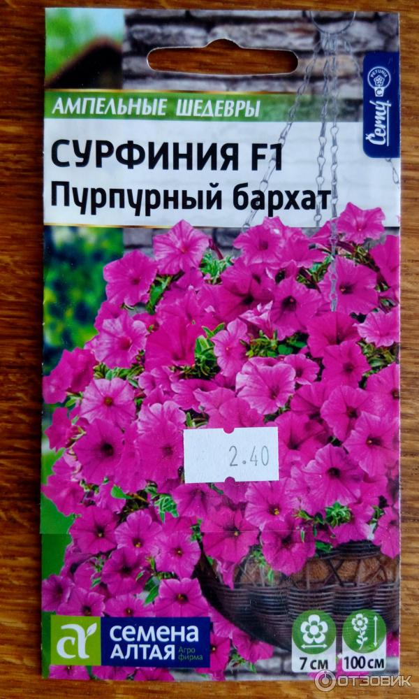 Сурфиния Семена Купить В Интернет Магазине