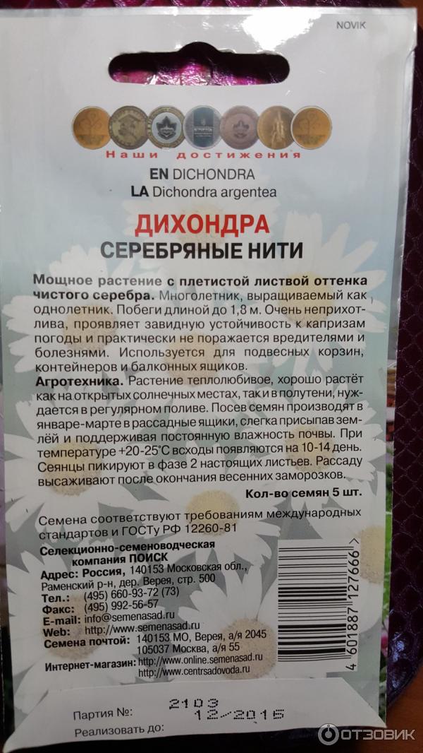 Семена Поиск Дихондра Серебряные нити фото