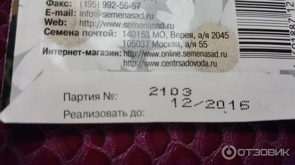 Семена Поиск Дихондра Серебряные нити фото