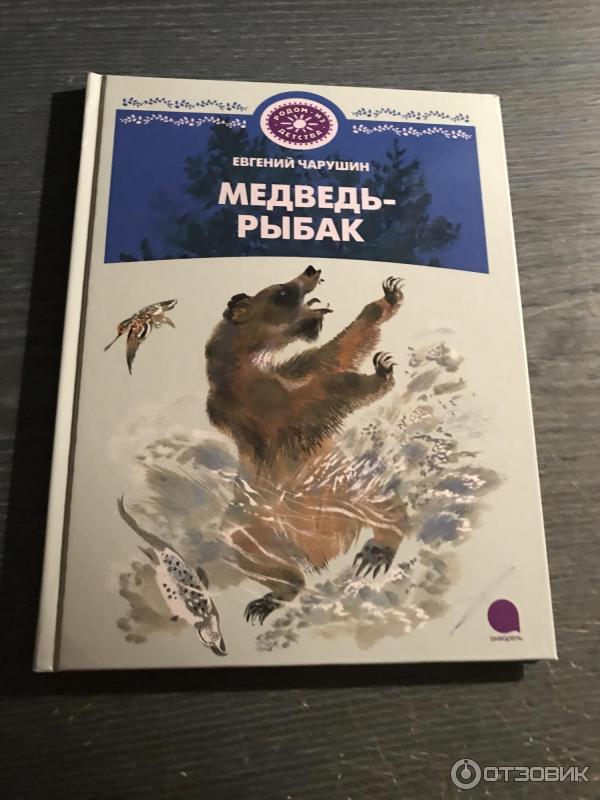 Медведь рыболов план текста