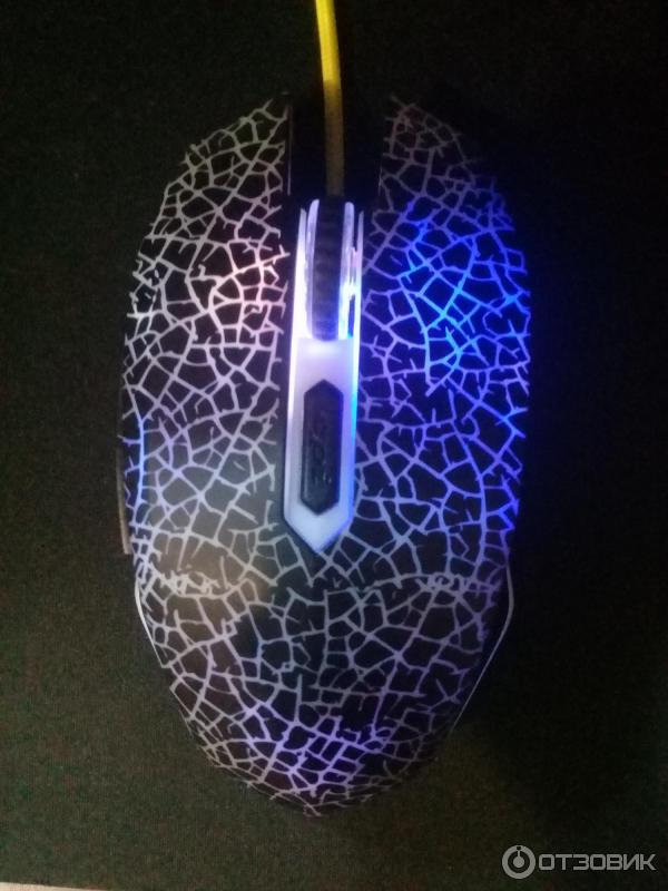 Qumo solaris