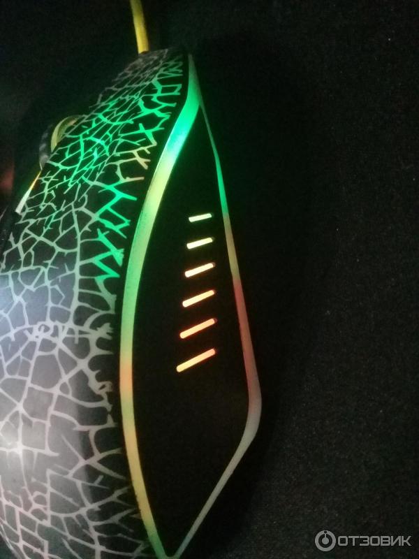 Qumo solaris