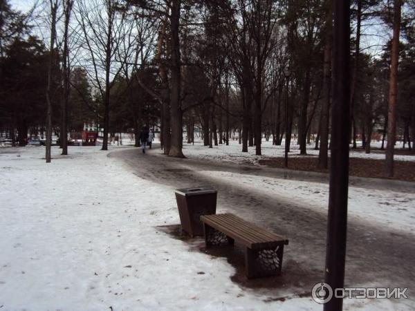 Аршиновский парк в москве карта