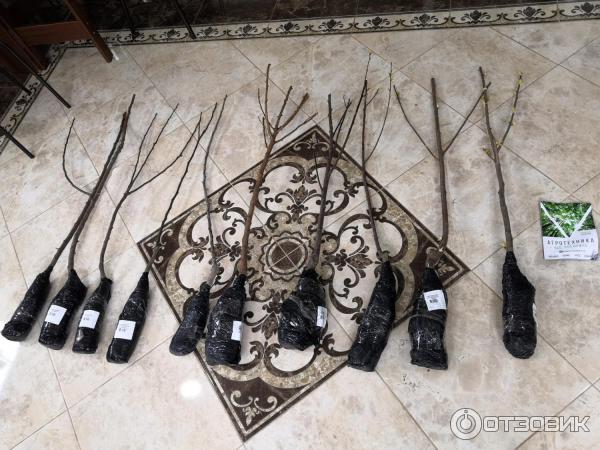 Agro Market24 Ru Интернет Магазин Отзывы