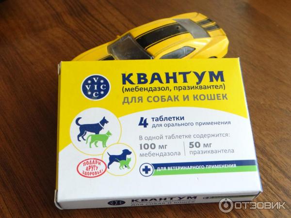 Квантум таблетки от глистов. Квантум таблетки для собак. Квантум таблетки для кошек. Квантум от глистов для кошек. Квантум таблетки от глистов. Квантум таблетки для собак. Квантум таблетки для кошек. Квантум от глистов для кошек.