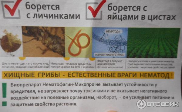 Нематофагин-Микопро фото Нематофагин-Микопро фото