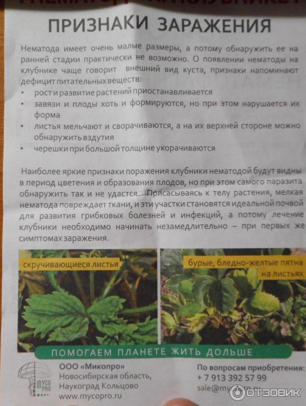 Нематофагин-Микопро фото Нематофагин-Микопро фото