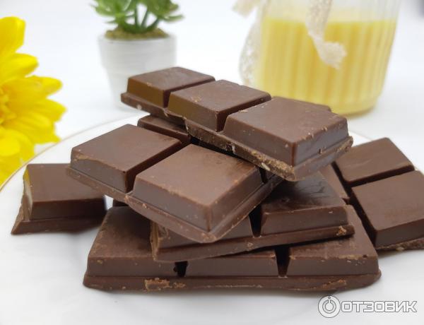 Chikalab шоколад молочный 100 гр. протеиновые шоколадки chikasport. Chika sport шоколад молочный (100 г). Chikalab шоколад молочный. протеиновый молочный шоколад.