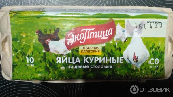 Магазин Экоптица Липецк