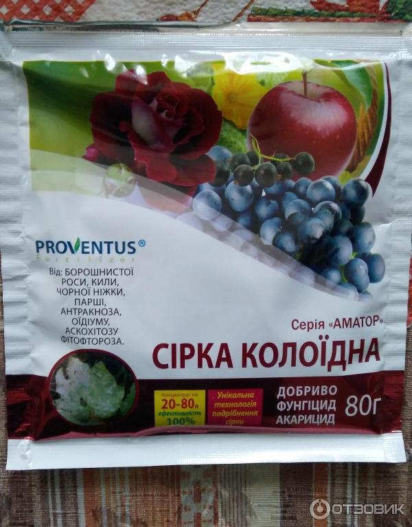 Инструкция по применению коллоидной серы для винограда, смородины и других растений Коллоидная сера: инструкция по применению для винограда, смородины и других растений