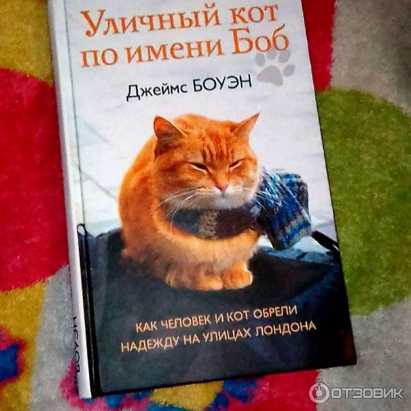 кот по имени боб книга. кот боб отзывы. кот боб отзывы. кот боб. кот боб книга.
