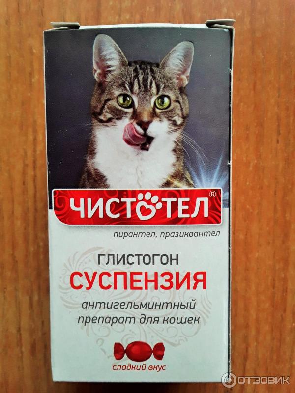 Отзыв о Суспензия для кошек Экопром Чистотел Глистогон | Удобно,  доступно, хорошо переносится котом.