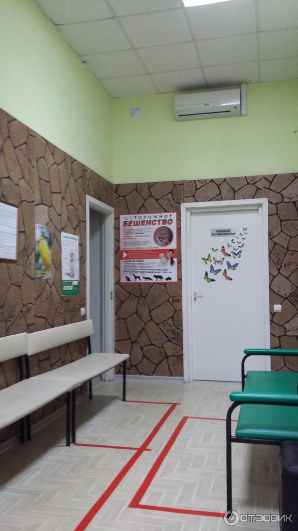 3 фото. Ветеринарная клиника братеево беланта. , 16, корп. Беланта братеевская ул 16 корп 3. 16, к.