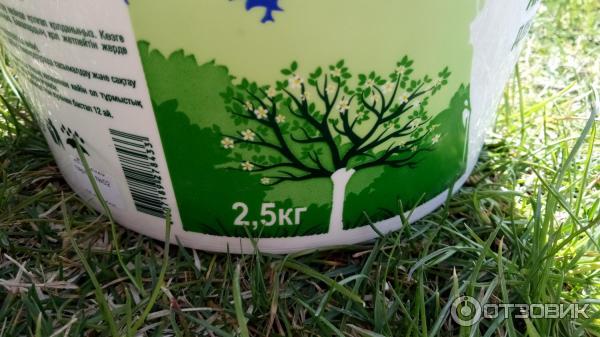 Краска на олифе для деревьев