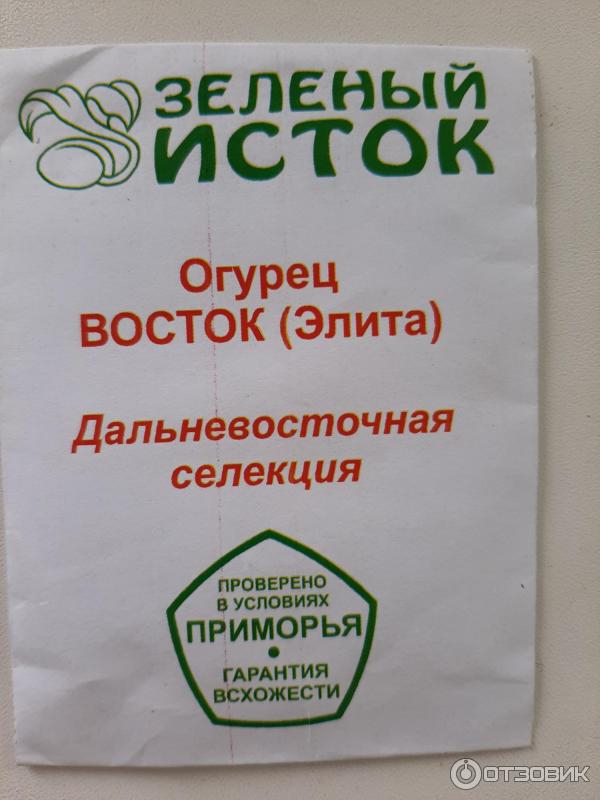 Зеленый Исток Интернет Магазин