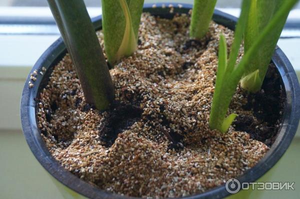 Вермикулит Florizel агротехнический фото